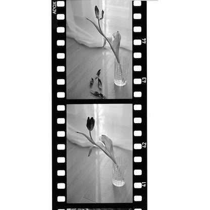 Adox Scala 50 Black & White Reversal 35mm film