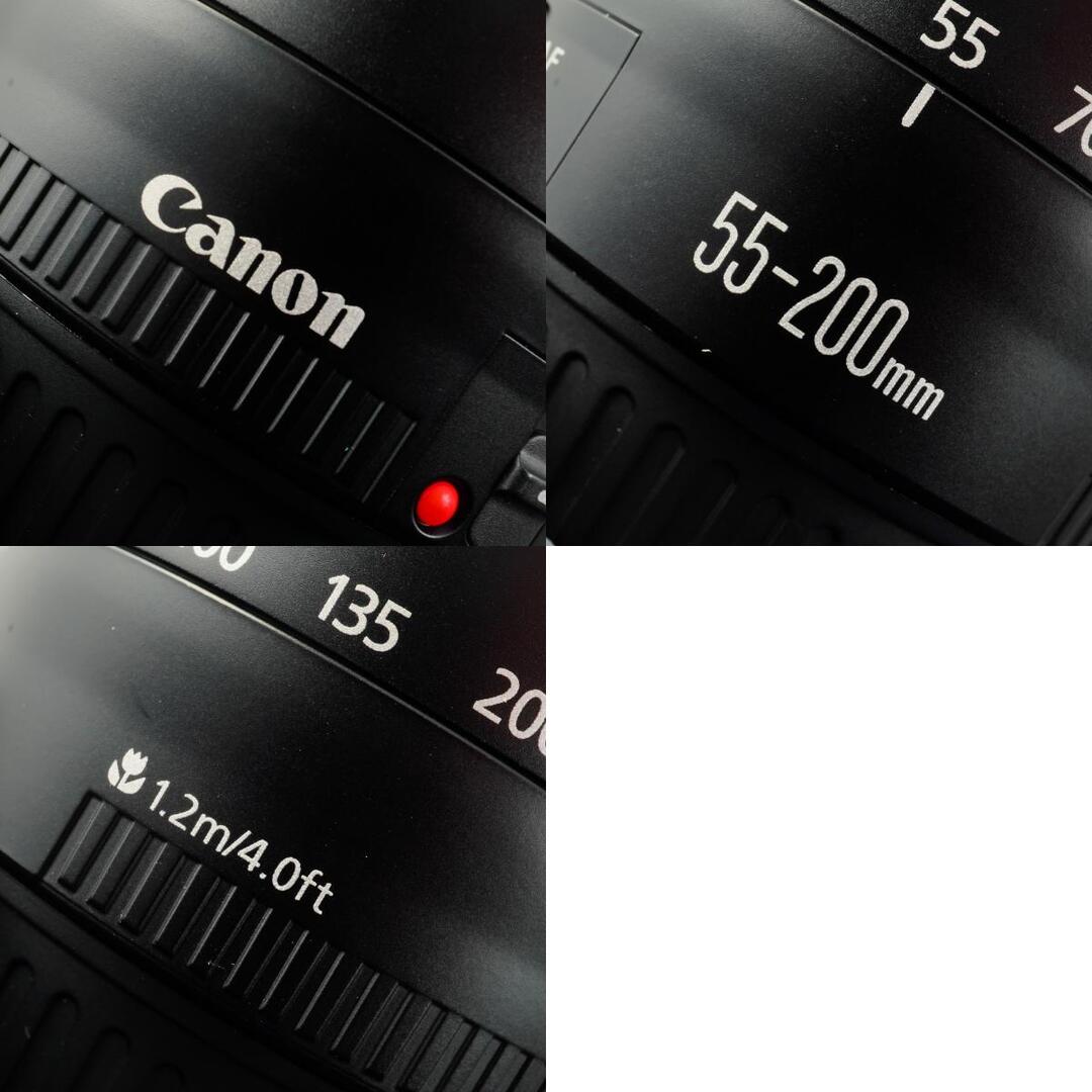 Canon EF 55-200mm f4.5-5.6 II USM - Filem.sg