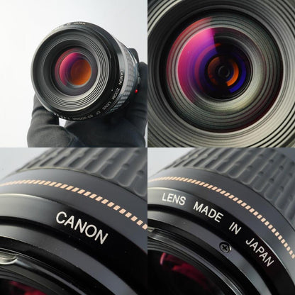 Canon EF 80-200mm f4.5-5.6 USM - Filem.sg