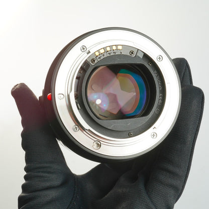 Minolta AF Macro 100mm f2.8 - Filem.sg