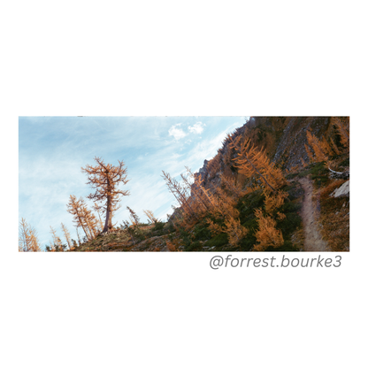 Fuji C200 35mm Film 36 Exp