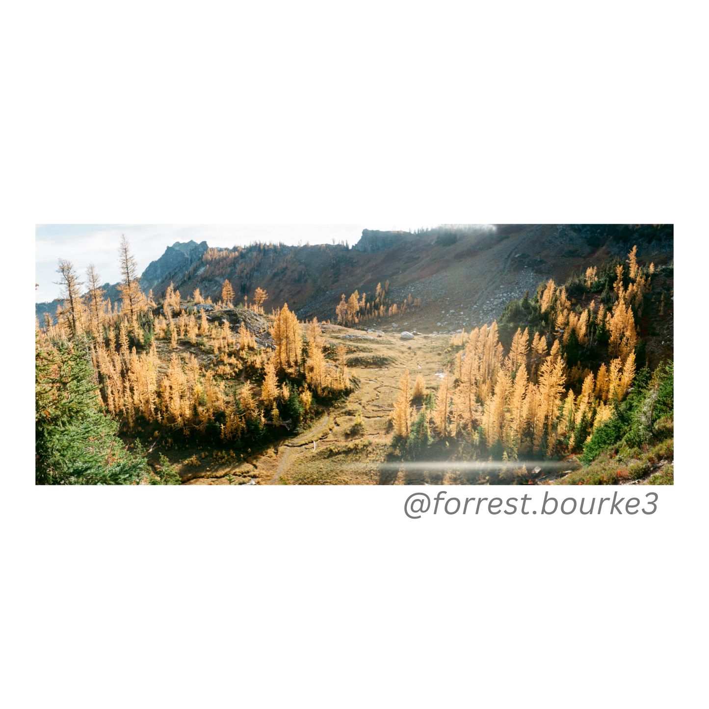 Fuji C200 35mm Film 36 Exp