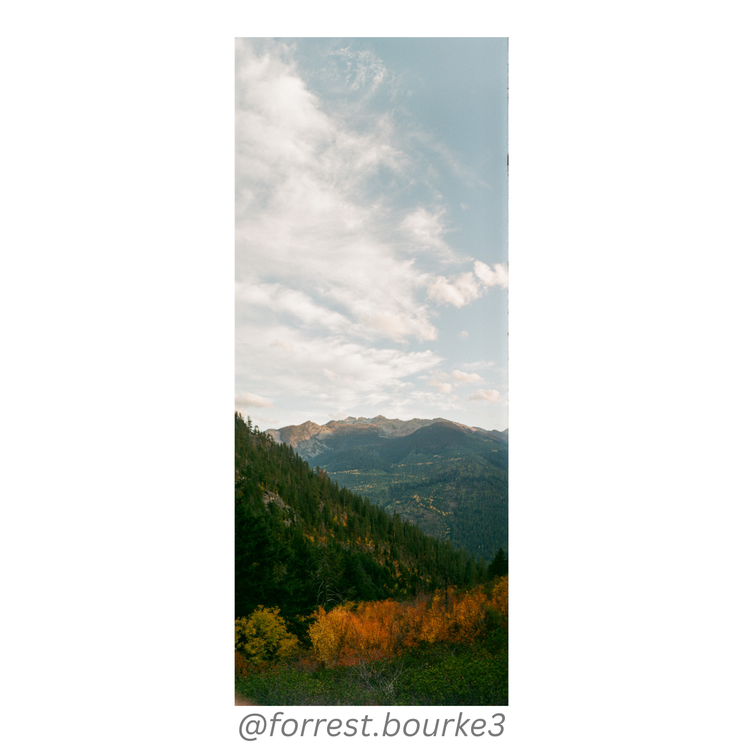 Fuji C200 35mm Film 36 Exp