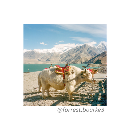 Kodak Portra 400 35mm Film 36 Exp