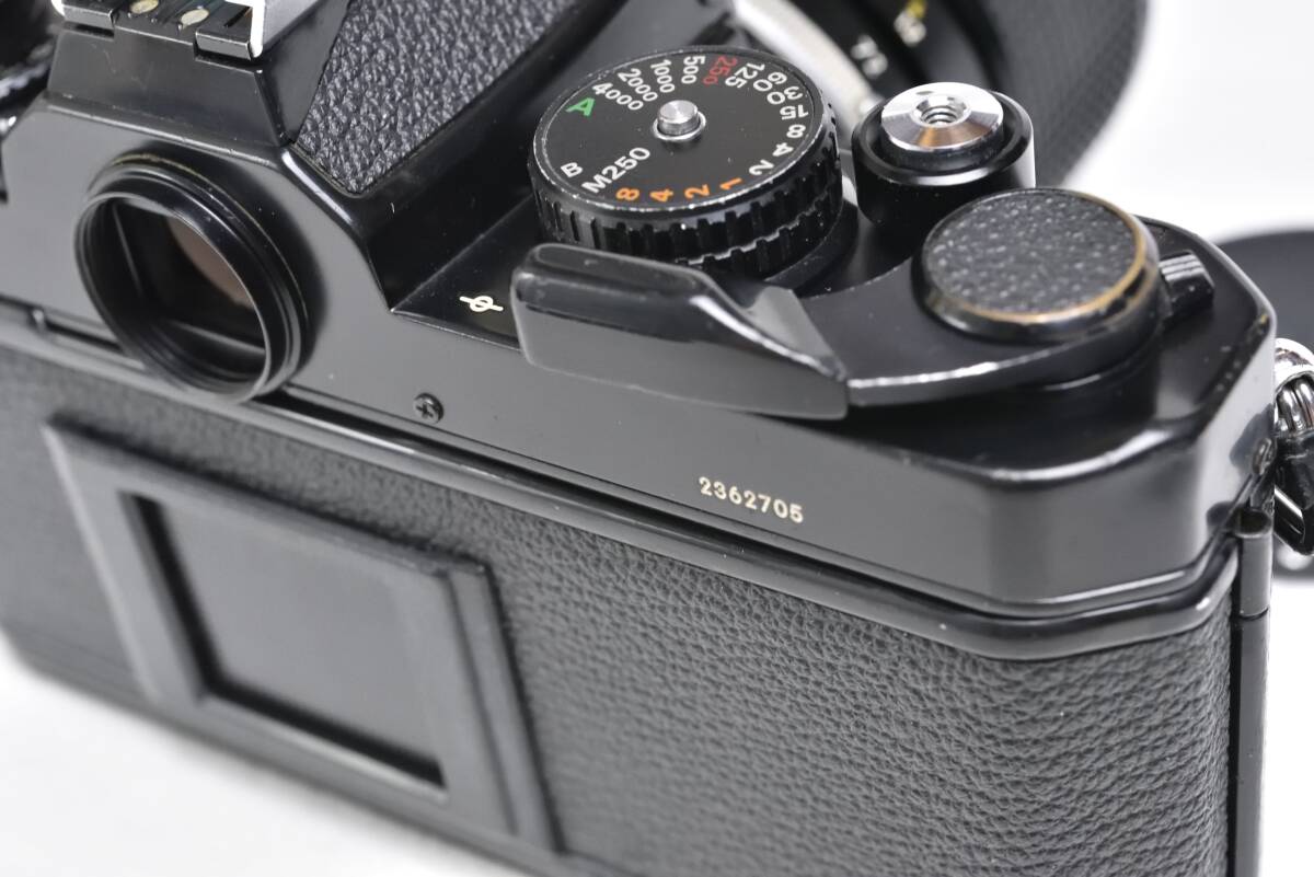 Nikon FE2 (Black) with Series E Zoom