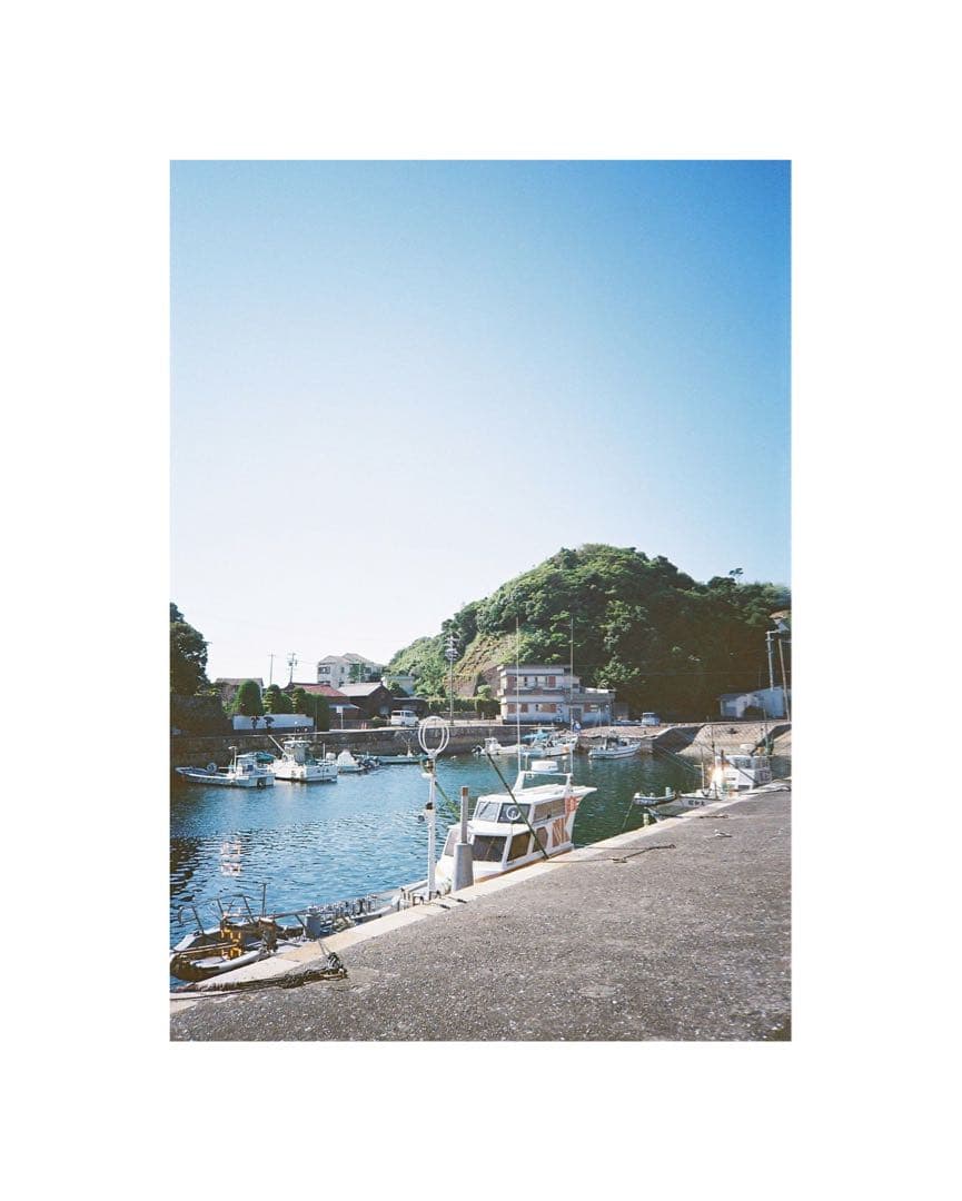 Fuji Cardia mini Everyday - Filem.sg